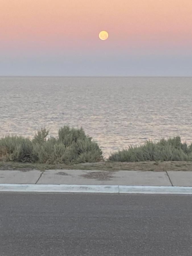 Oasis Del Sur Lägenhet Puerto Madryn Exteriör bild
